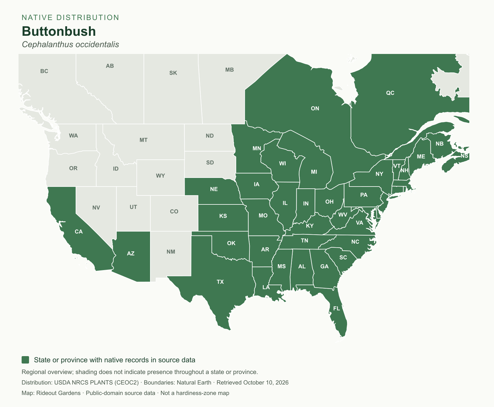 buttonbush (cephalanthus occidentalis) — native species range Regional native range map for Buttonbush (Cephalanthus occidentalis)
