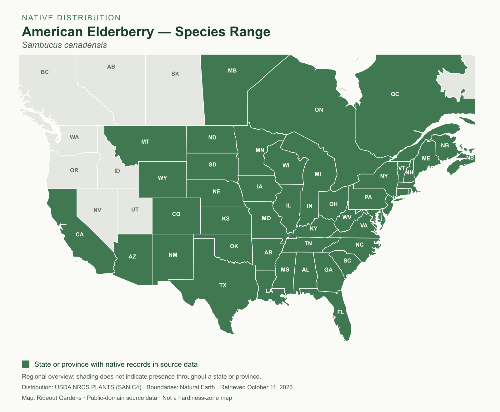 american elderberry — native species range Native range overview for American elderberry, including all six New England states