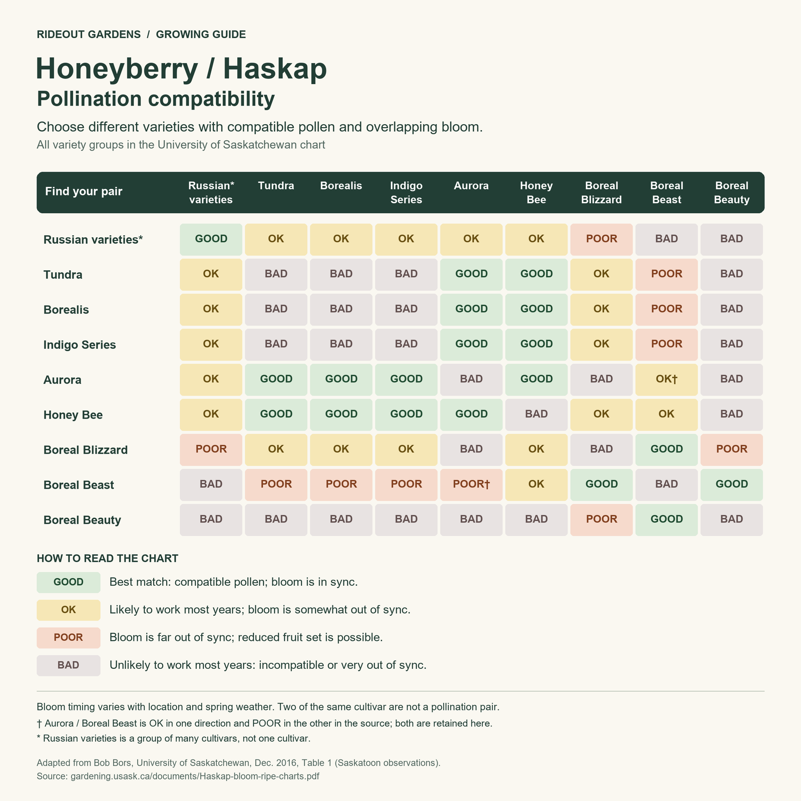 honeyberry / haskap — pollination compatibility guide Pollination compatibility for nine haskap variety groups: Russian varieties, Tundra, Borealis, Indigo Series, Aurora, Honey Bee, Boreal Blizzard, Boreal Beast, and Boreal Beauty. Ratings GOOD, OK, POOR, BAD follow Bob Bors, University of Saskatchewan, December 2016, Table 1. Aurora/Boreal Beast has differing OK and POOR source ratings; bloom timing varies with weather and location.