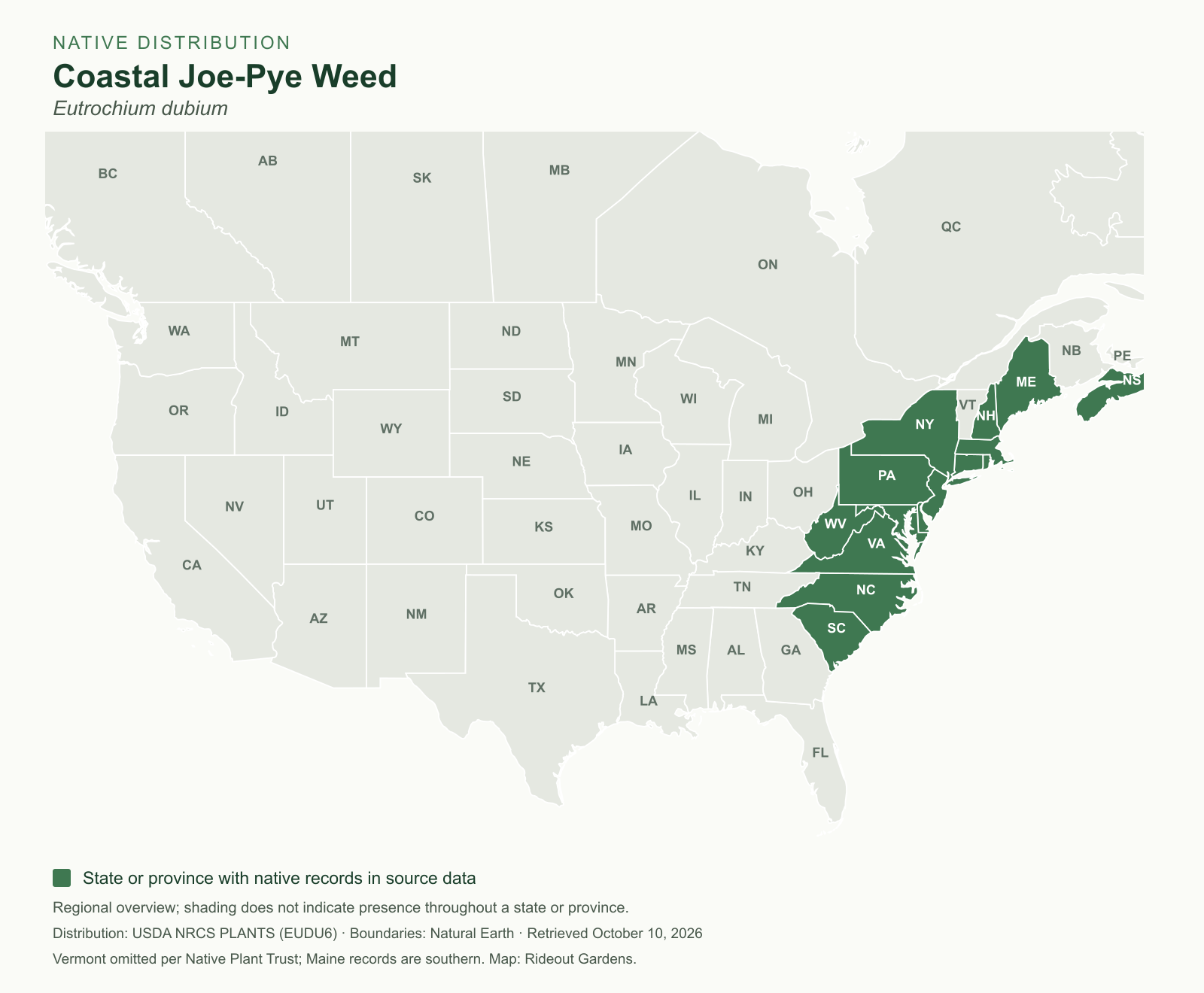 coastal joe pye weed (eutrochium dubium) native range State and province native distribution map for Eutrochium dubium