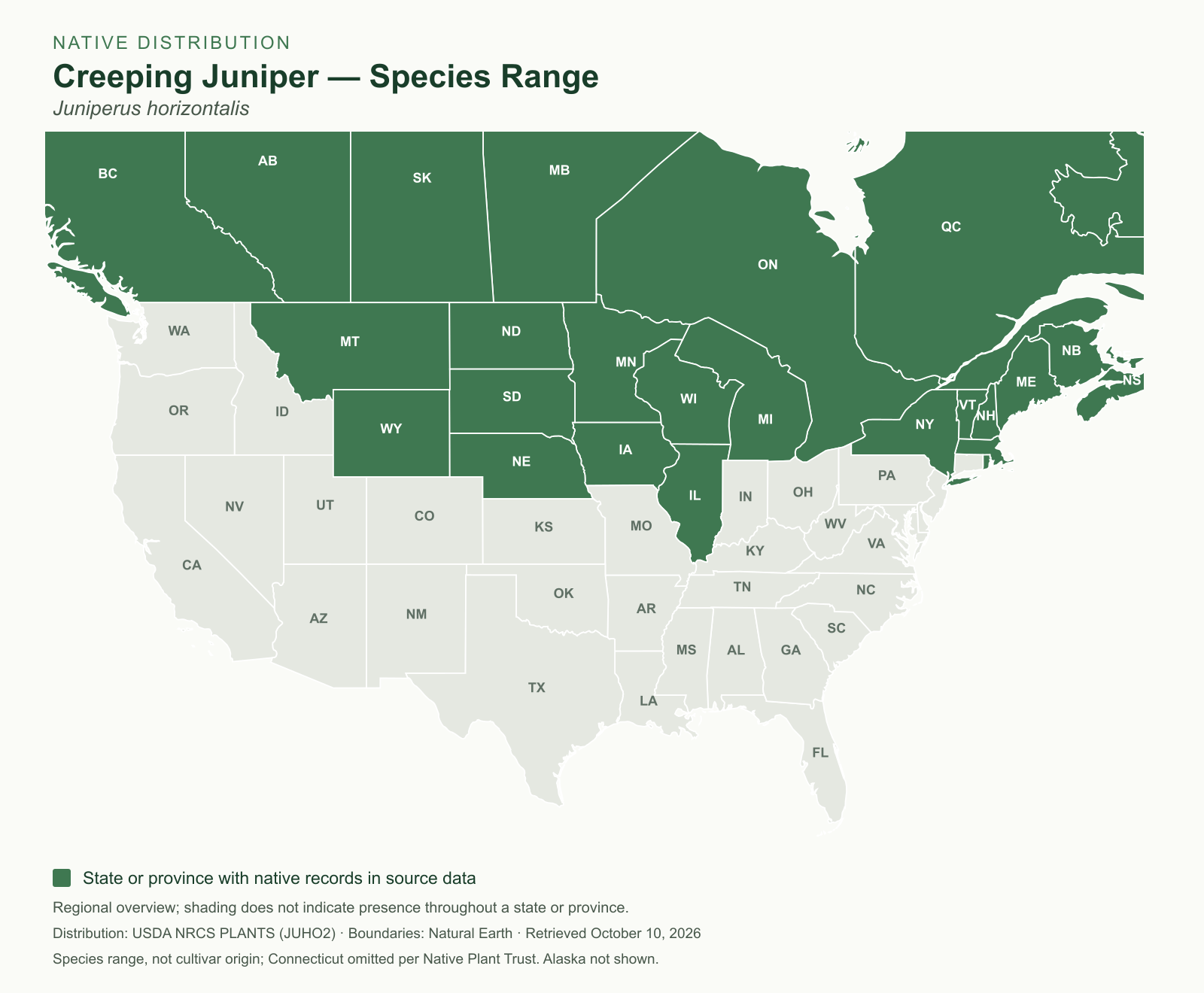 creeping juniper ‘bar harbor’ — native species range Regional native range map for Juniperus horizontalis (species)