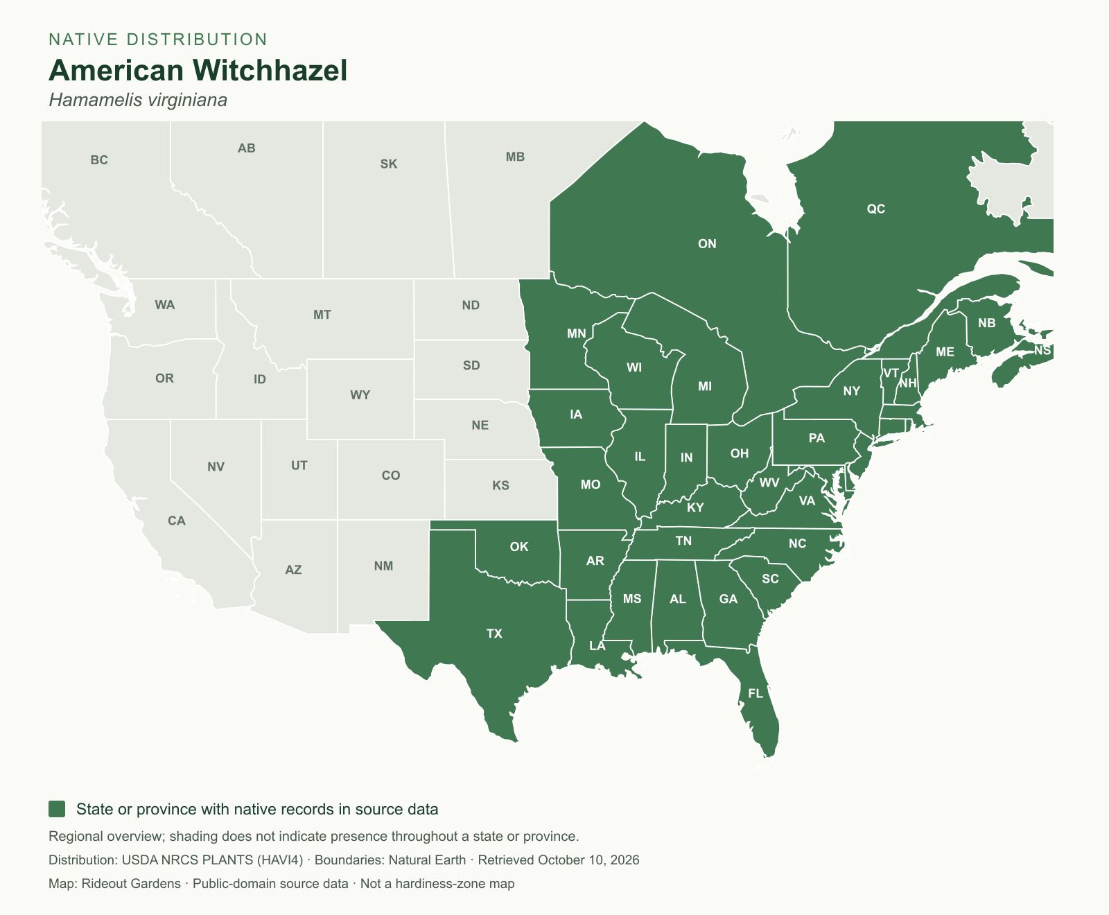 american witchhazel (hamamelis virginiana) — native species range Regional native range map for American Witchhazel (Hamamelis virginiana)
